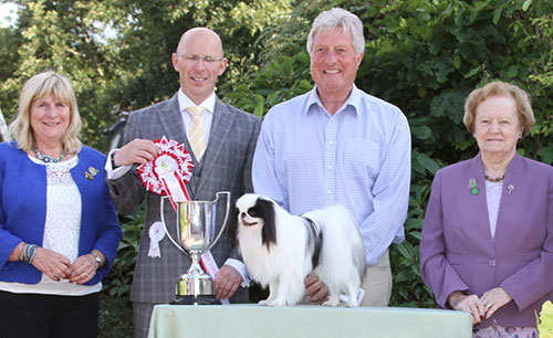 Paignton 2016 Reserve Best In Show