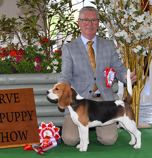 Reserve Best Puppy In Show 2019