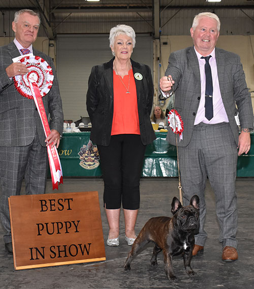 Paignton Championship Dog Show XXXX Results Paignton Championship Dog Show XXXX Results