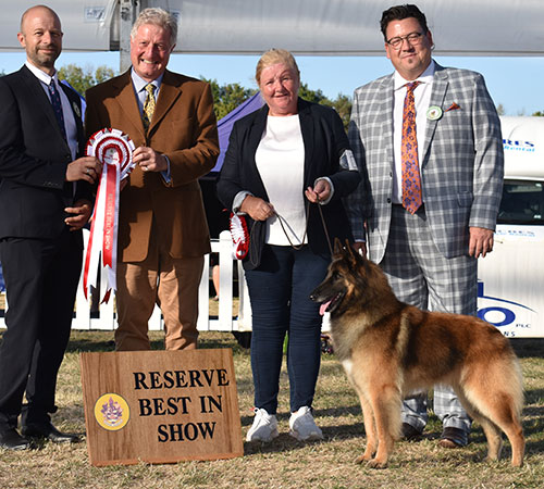 Paignton 2022 Reserve Best In Show