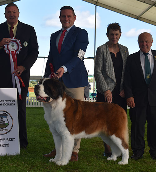 Paignton 2023 Reserve Best In Show