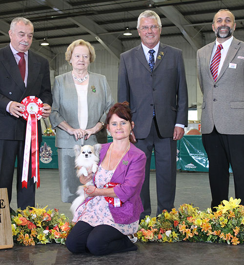 Paignton 2015 Reserve Best In Show