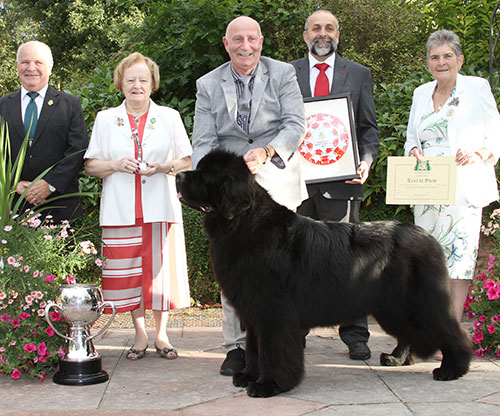 Paignton Championship Dog Show 2016 Results