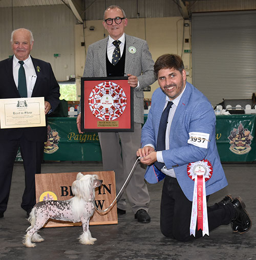 Paignton Championship Dog Show XXXX Results Paignton Championship Dog Show XXXX Results
