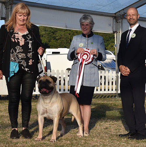 Paignton Championship Dog Show Home Paignton Championship Dog Show Home